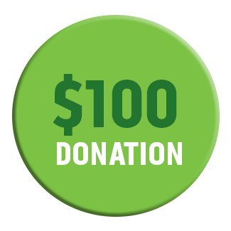 B. $100 Donation - please add qty 3 for $300 or qty 5 for $500 for example